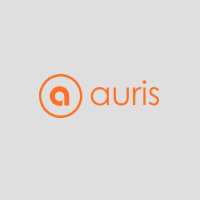 The Auris