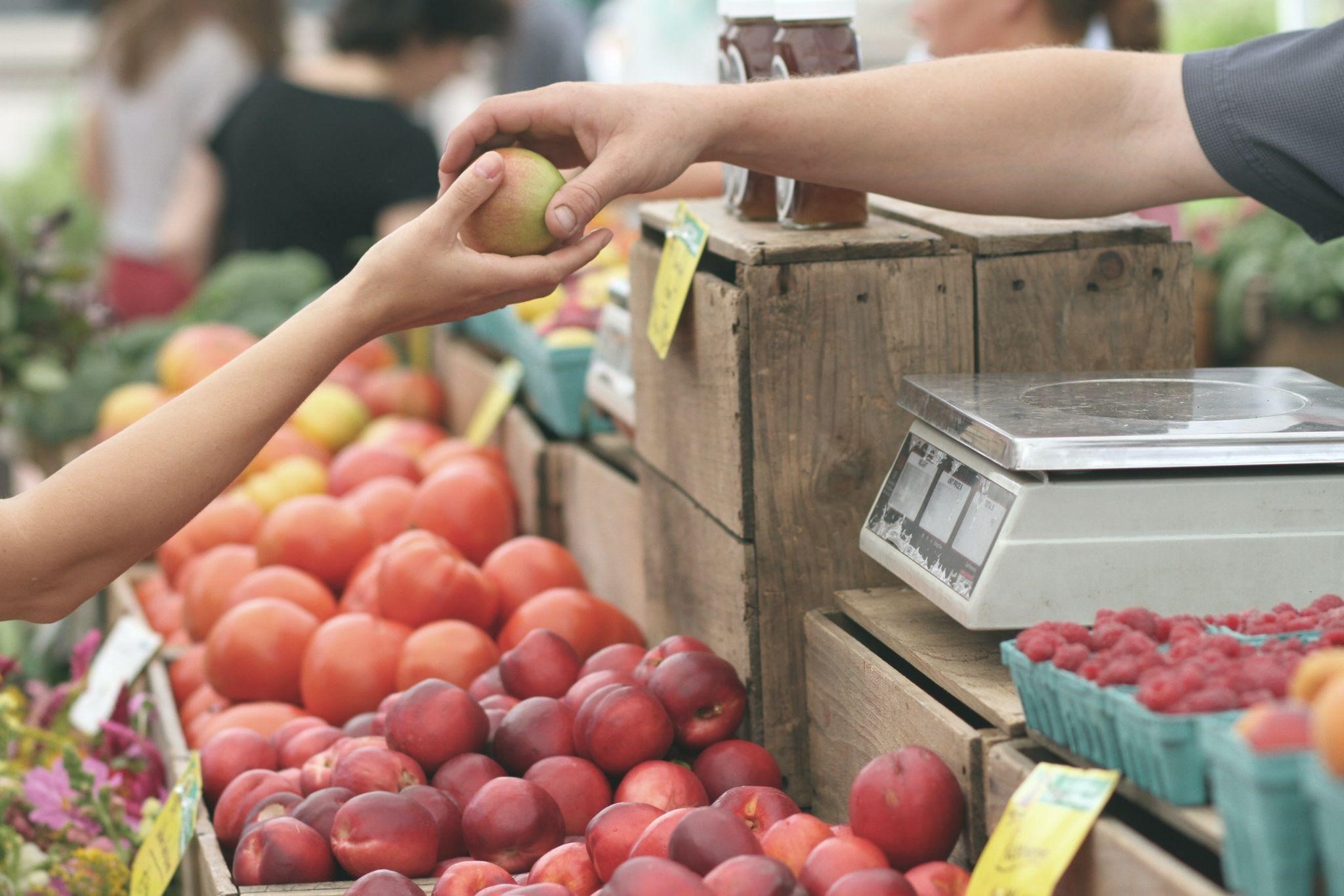 How To Buy Groceries On A Budget Smart Strategies For Savvy Shoppers